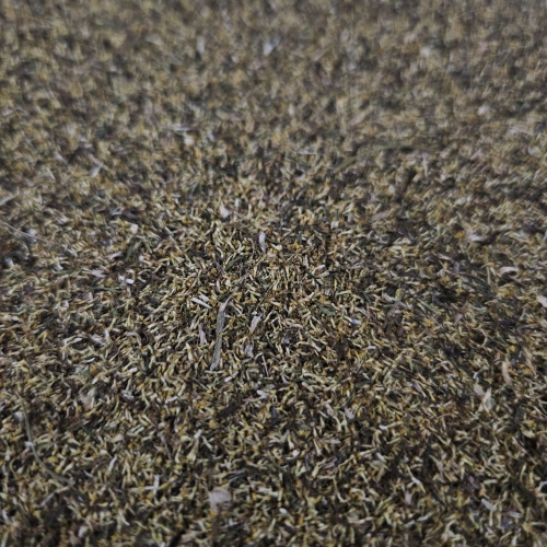 1000061006.jpg